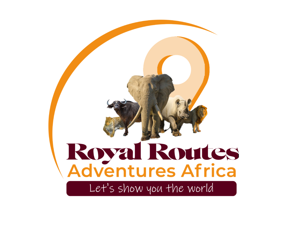 africa royal travel pty